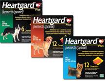 Pet Care Products